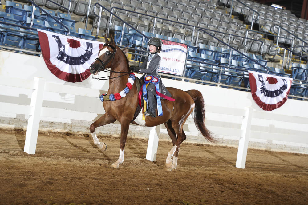 Horse Shows 2020 2023 Farm and Horse Shows 2020 Region 15