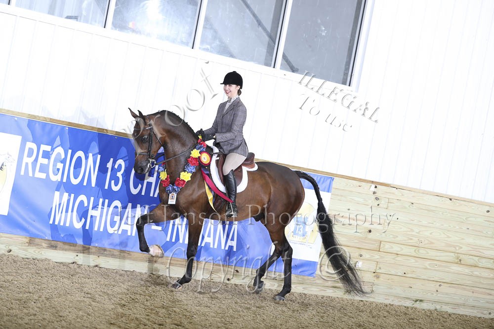 JTR Select 1418 Horse Shows 2020 2023 Farm and Horse Shows