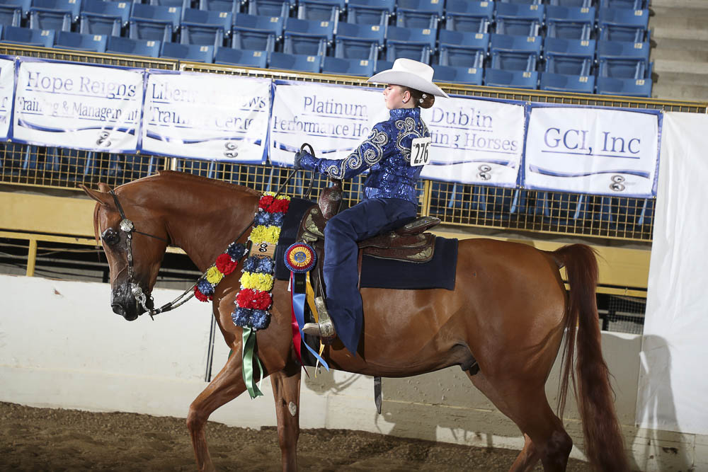 Western Pleasure Horse Shows 2020 2023 Farm and Horse Shows