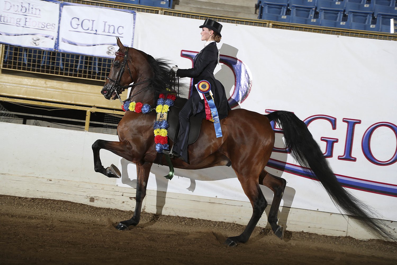 Saddle Seat 1418 Horse Shows 2020 2023 Farm and Horse Shows