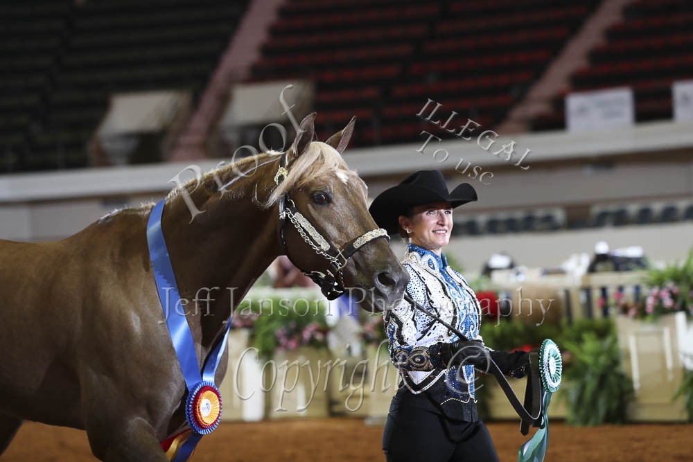 showmanship-tune-up-western-pleasure-horses-showmanship-horse-exercises