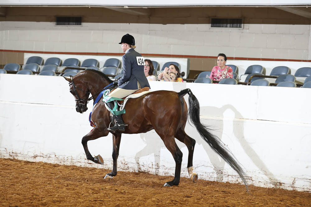 Horse Shows 2020 2023 Farm and Horse Shows 2021 Region 9 Championships PB Hunter