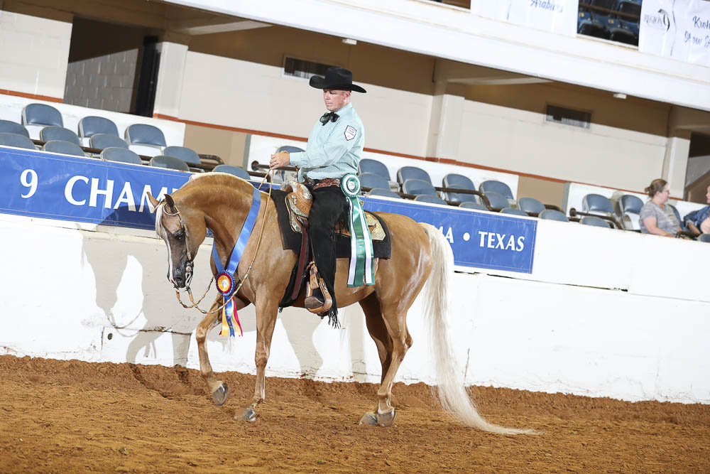 Horse Shows 2020 2023 Farm and Horse Shows 2021 Region 9