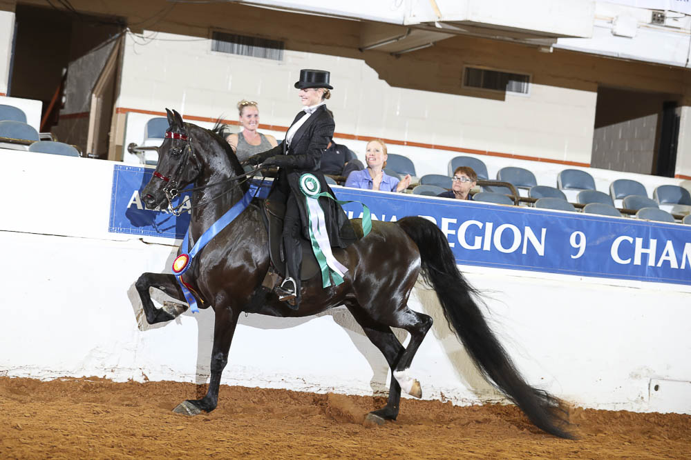 Horse Shows 2020 2023 Farm and Horse Shows 2021 Region 9 Championships PB & HA Park