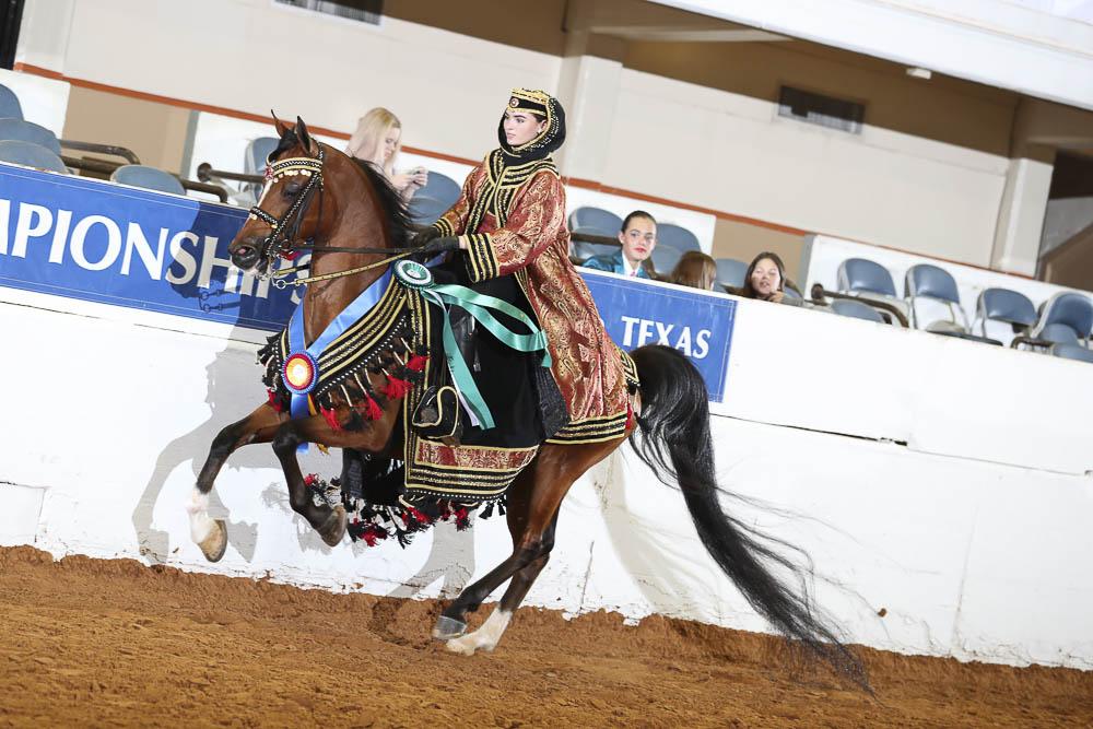 Horse Shows 2020, 2021 and 2022 Farm and Horse Shows 2021 Region 9 Championships PB & HA