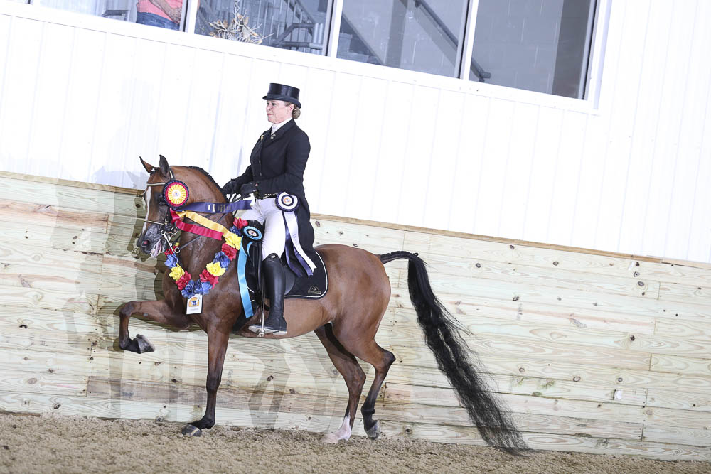 Horse Shows 2020 2023 Farm and Horse Shows 2021 Region 13 Championships PB & HA Show