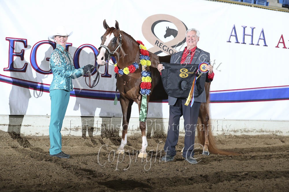 showmanship-jth-11-14-horse-shows-2020-2023-farm-and-horse-shows