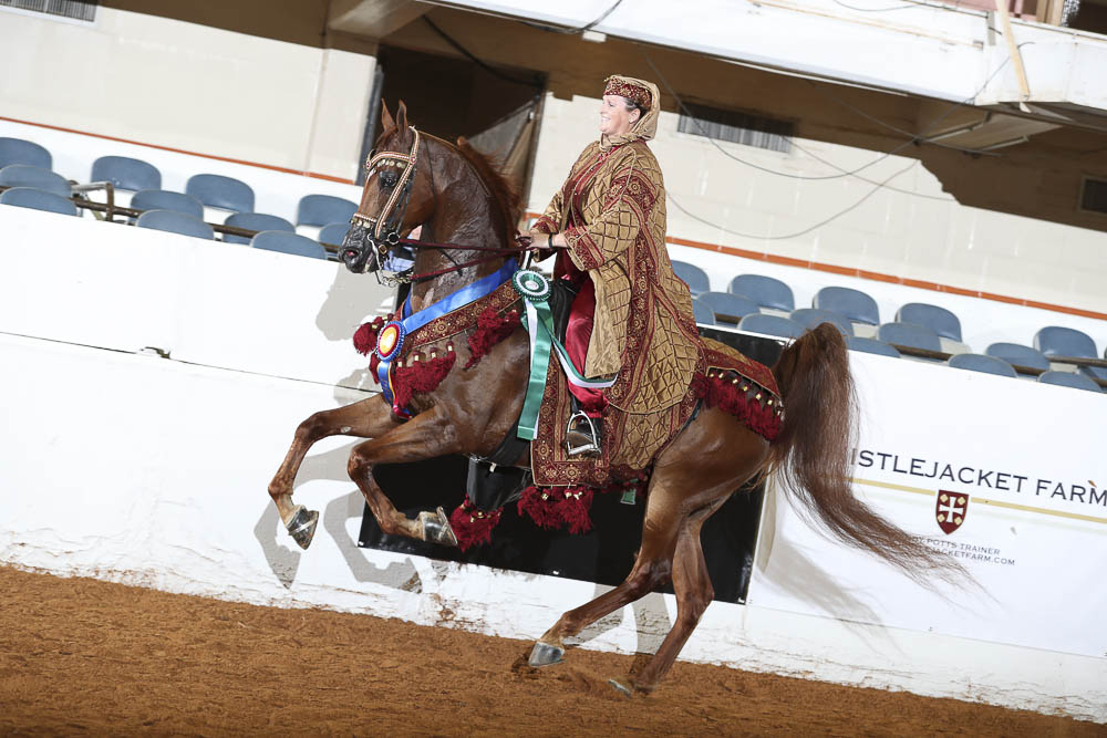 Horse Shows 2020 2023 Farm and Horse Shows 2022 Region 9