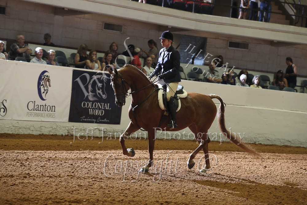 Open Horse Shows 2020 2023 Farm and Horse Shows 2022 Region 9