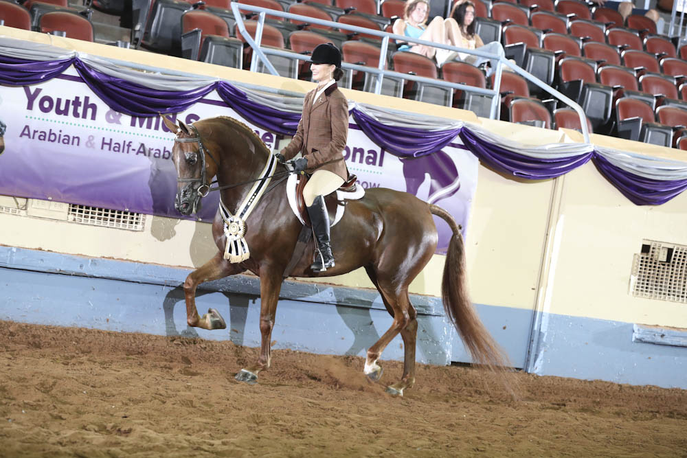 Horse Shows 2020 2023 Farm and Horse Shows 2022 AHA Youth and Mid