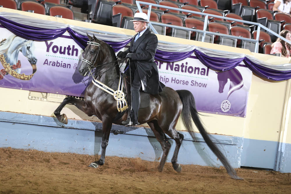 Horse Shows 2020 2024 Farm and Horse Shows 2022 AHA Youth and Mid