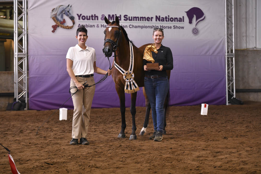 Horse Shows 2020, 2021 and 2022 Farm and Horse Shows 2022 AHA Youth