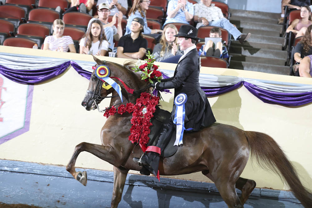 Horse Shows 2020 2023 Farm and Horse Shows 2022 AHA Youth and Mid