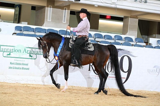 PB Western Pleasure
