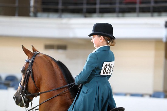 PB & HA Walk Trot Pleasure 10 & Under