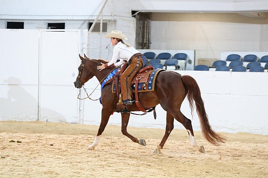 PB & HA Ranch Rail Pleasure