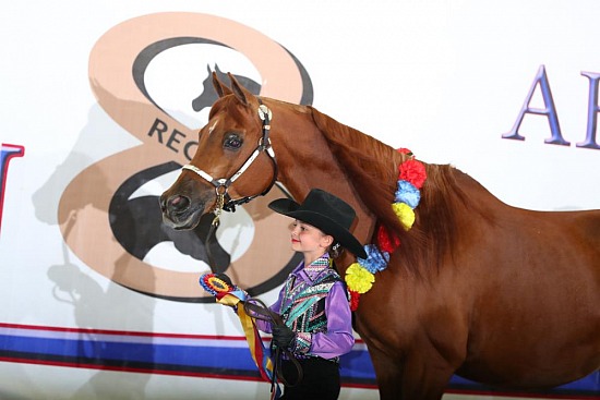 Showmanship - Leadline