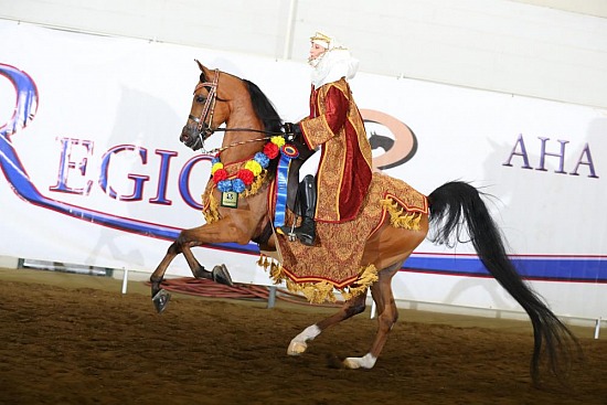 PB & HA Native Costume