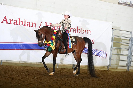 PB Western Pleasure
