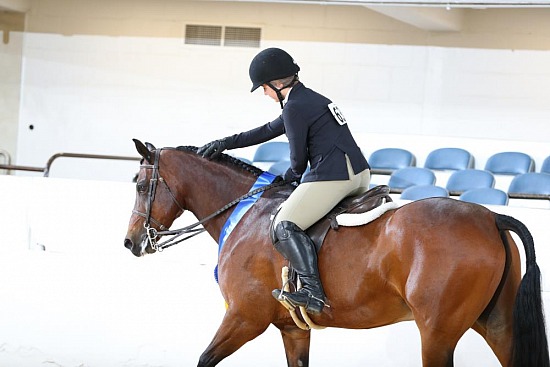 Equitation-Horsemanship