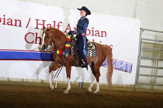 Equitation-Horsemanship