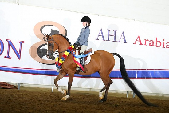 Walk Trot 10 & Under