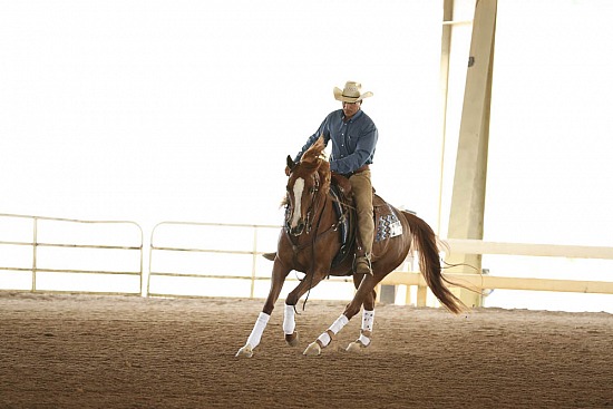 Reining and Ranch Riding