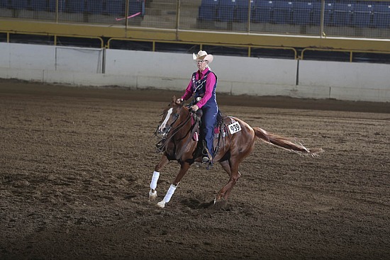 PB Reining AAOTR-Limited Non Pro