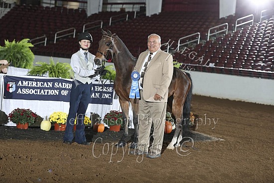 Showmanship In Hand AHHS Youth Medallion