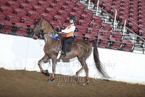 Academy Horsemanship-Equitation, WT, 10 & Under