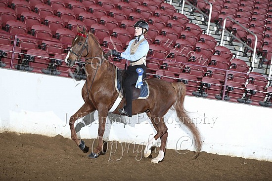 Academy Horsemanship-Equitation, WT, 18 & Over