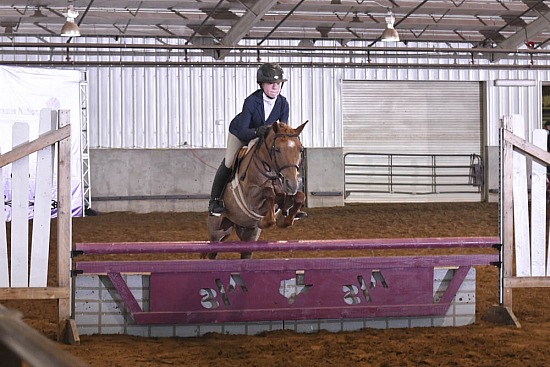 Working Hunter-Equitation Over Obstacles