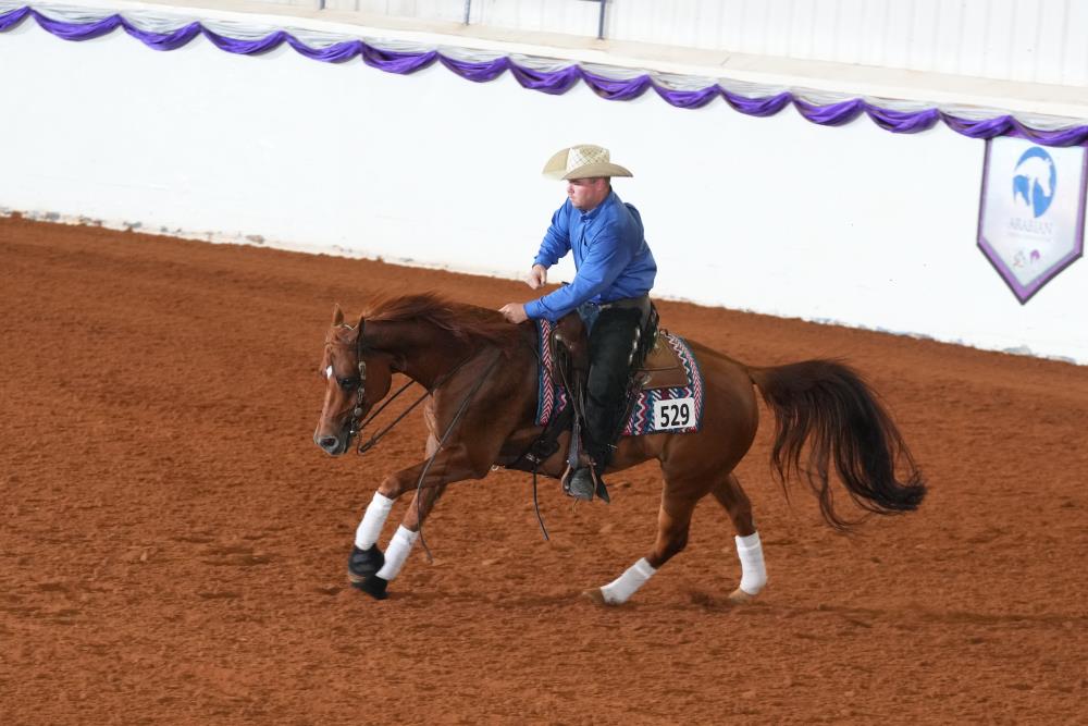 Horse Shows - 2020 - 2026 Farm and Horse Shows - 2023 AHA Youth and Mid ...