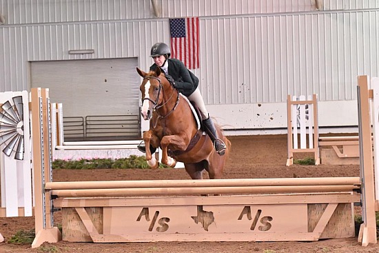 Working Hunter -Equitation over Obstacles