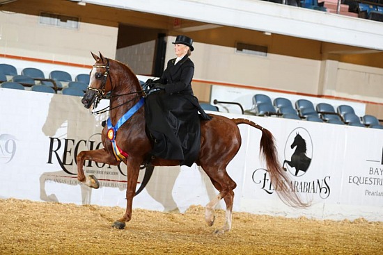 PB & HA Side Saddle