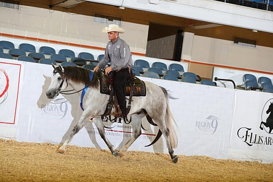 PB & HA Ranch Riding & Rail Pleasure