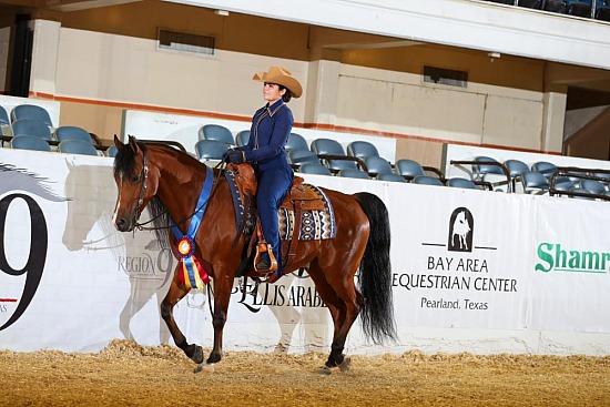 Equitation-Horsemanship