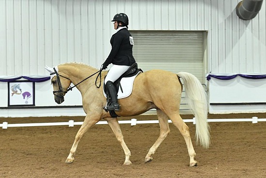 PB & HA Dressage