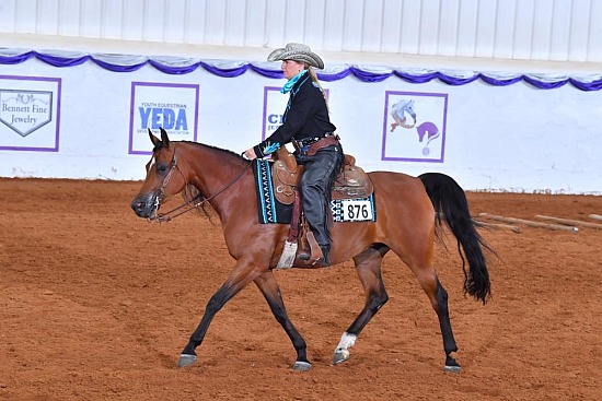 PB & HA Ranch Riding 