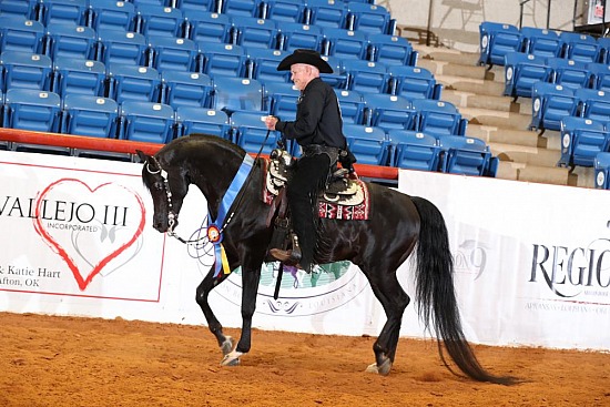 PB Western Pleasure