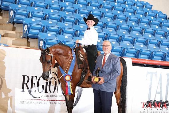 PB & HA Walk Trot Pleasure 10 & Under