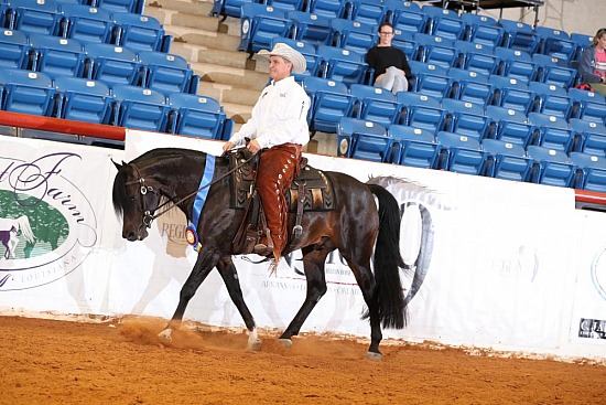 PB & HA Ranch Rail Pleasure