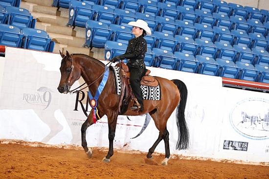 Equitation-Horsemanship
