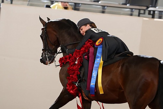 Walk-Trot Equitation
