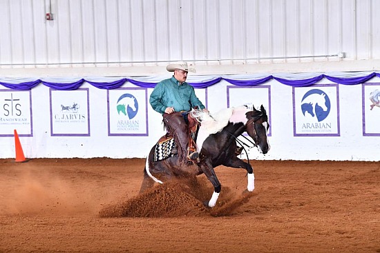 PB & HA Reining
