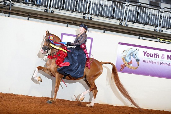 PB & HA Side Saddle