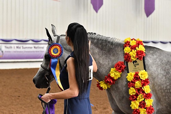 HA Sport Horse In Hand Dressage and Hunter Type