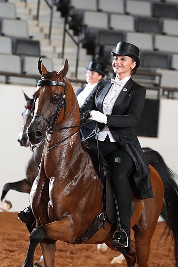 PB & HA Equitation