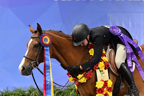 PB & HA Sport Horse Show Hack
