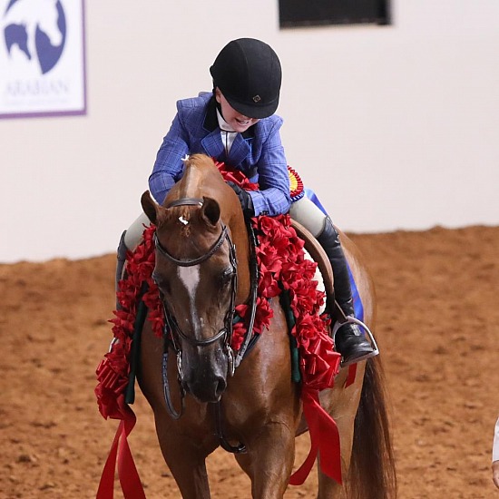 Walk-Trot Pleasure